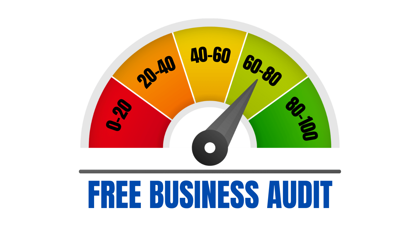 Business audit report checker