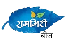 “Ramgiri Beej logo – branding optimized by the best digital marketing company in Dehradun.”