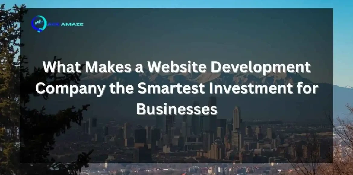"Infographic titled 'What Makes a Website Development Company the Smartest Investment for Businesses' with Ace Amaze logo and a scenic city skyline with mountains in the background"