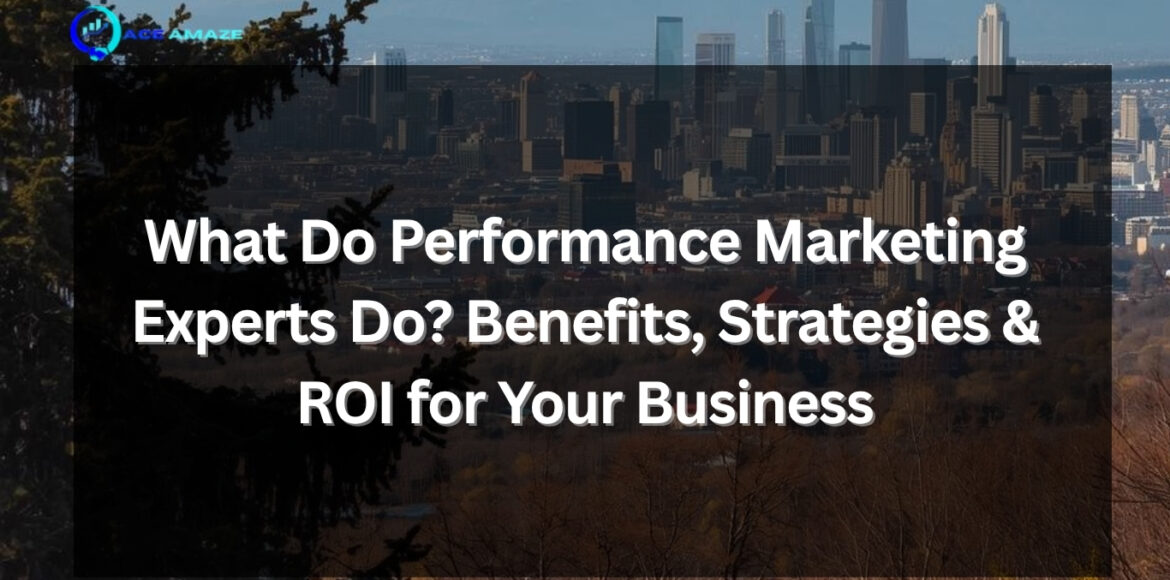 performance marketing experts