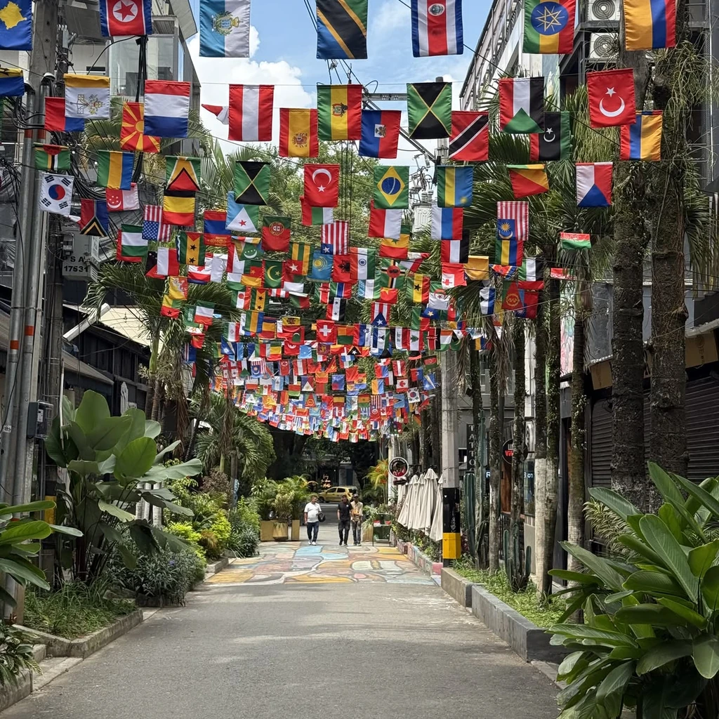 Colorful international flags decorating a street, representing global reach and brand visibility for the best digital marketing agency in Dehradun.